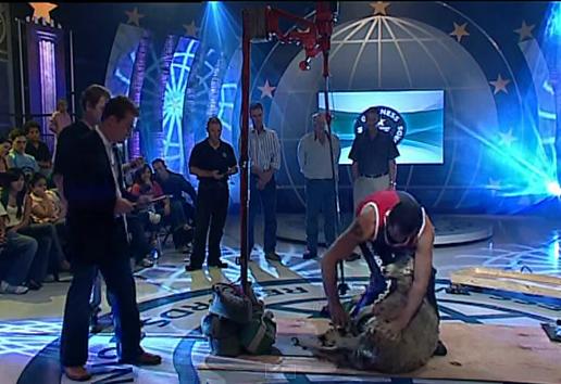 pencukur bulu wol domba tercepat